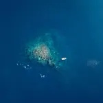Regina Liveaboard